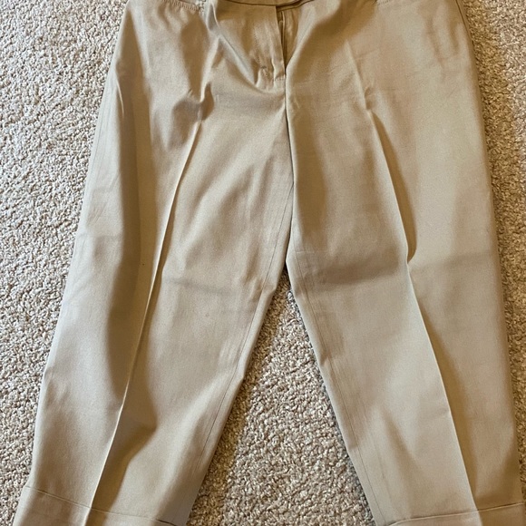 Loft - Ladies Capris - Size 10P - worn just a few times - Picture 4 of 4